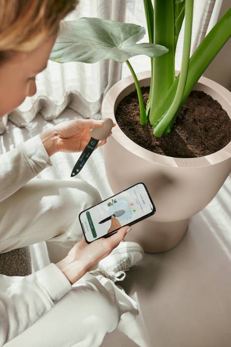 smart pebble aardebruin